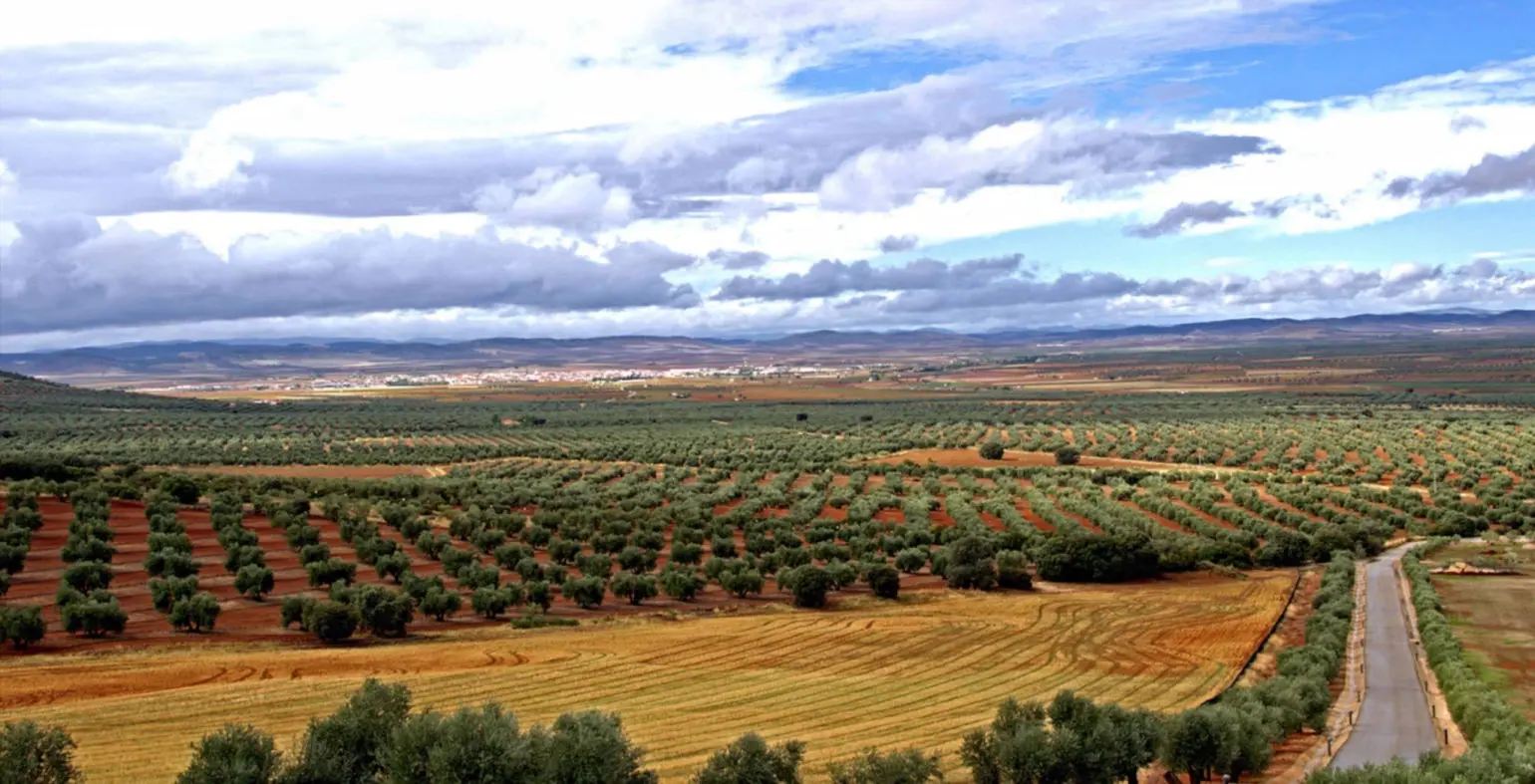 El Campo de Montiel